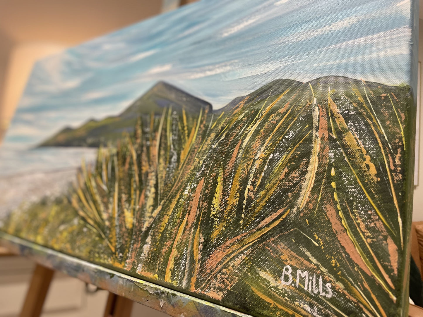 Pebbles at Murlough available @ Yard Gallery, Holywood