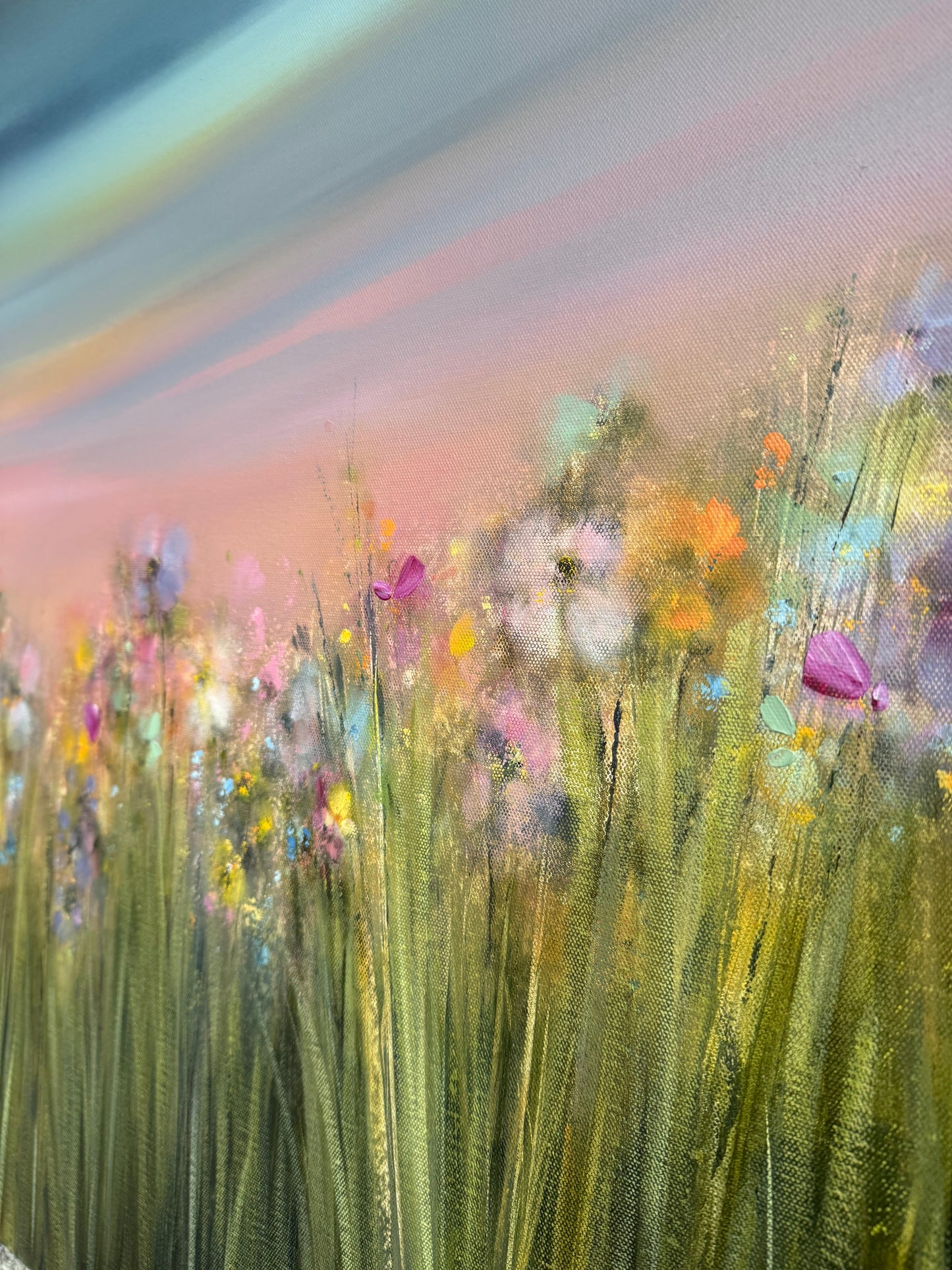 Petals and Light